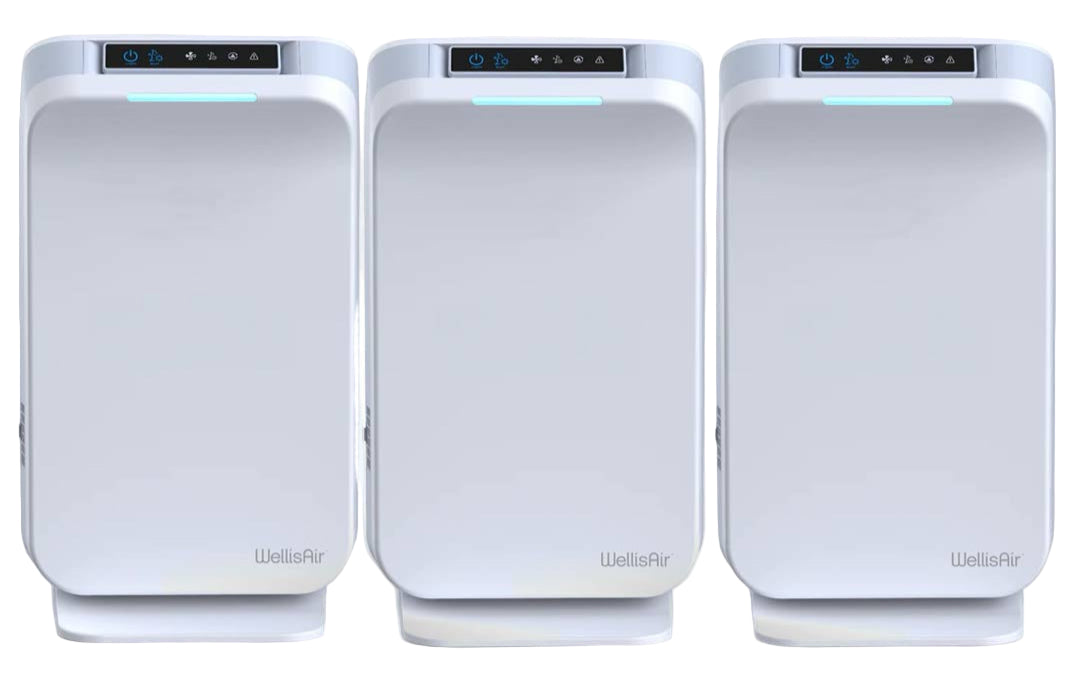 WellisAir Whole Home Revitalization Multi-Unit Bundle
