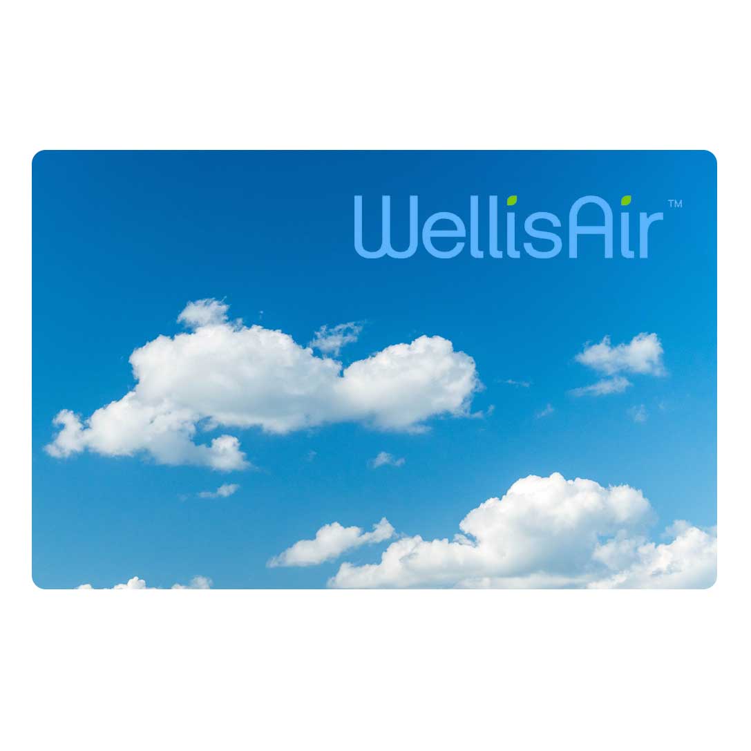 WellisAir Gift Card