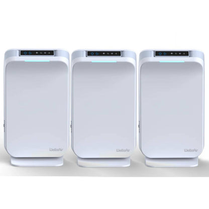 WellisAir Whole Home Revitalization Multi-Unit Bundle