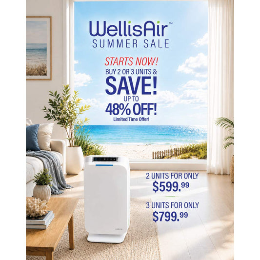 Summer Bundles: WellisAir Whole Home Revitalization Multi-Unit Bundles