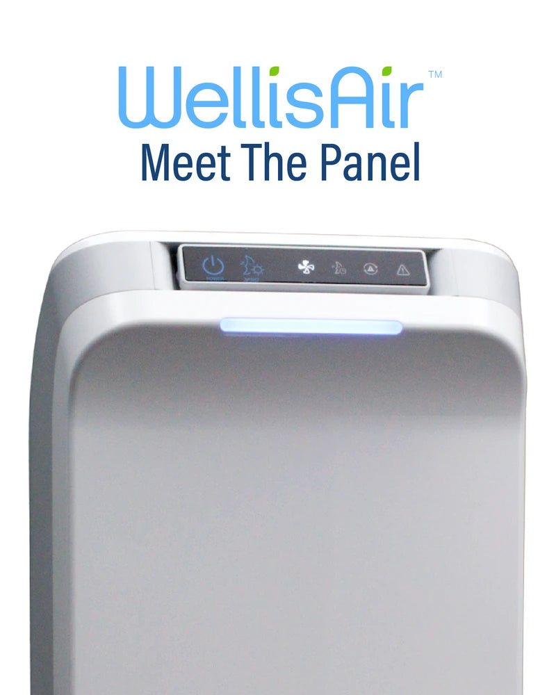 WellisAir — Meet The Panel.