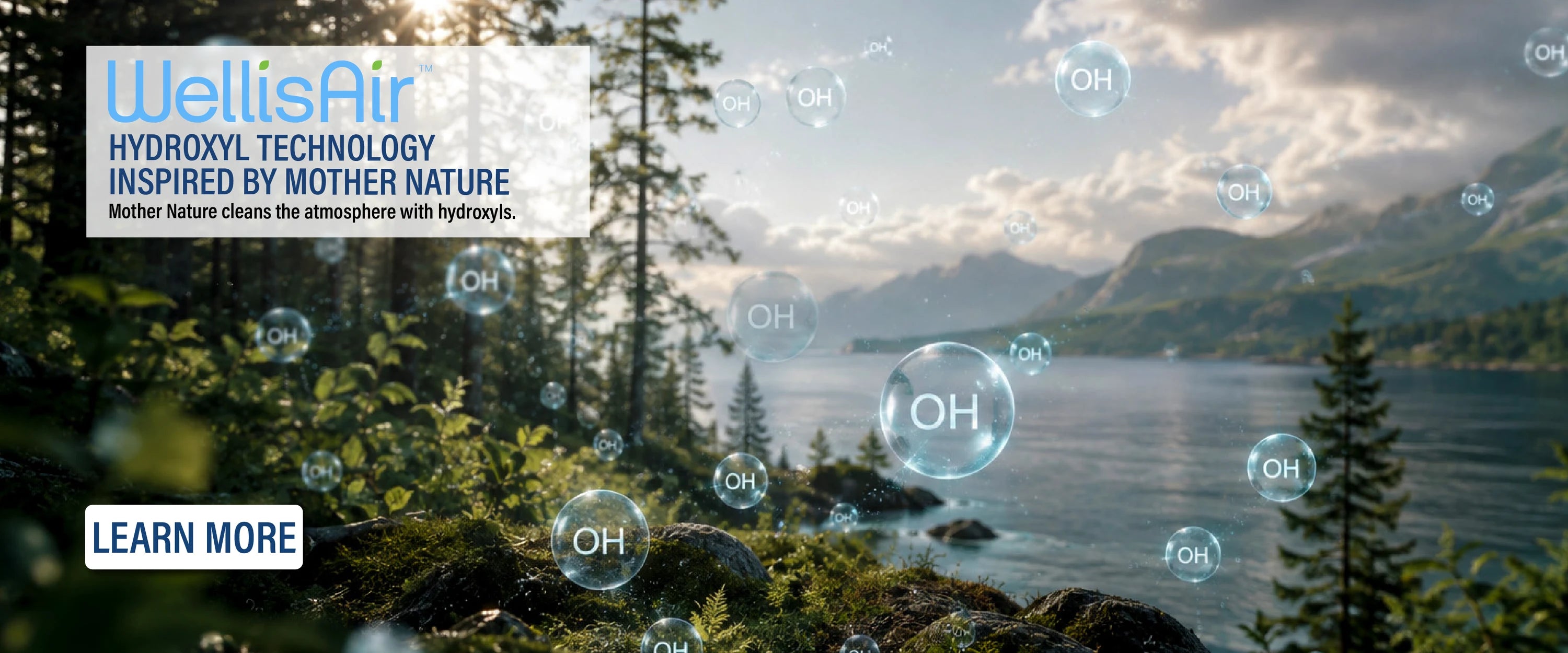Hydroxyl molecules drifting over a sunlit forest and lake